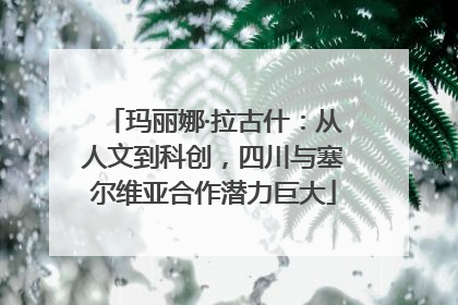 玛丽娜·拉古什：从人文到科创，四川与塞尔维亚合作潜力巨大