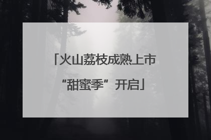 火山荔枝成熟上市 “甜蜜季”开启