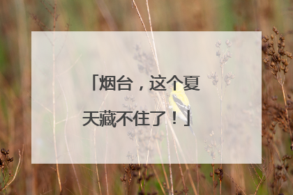 烟台，这个夏天藏不住了！