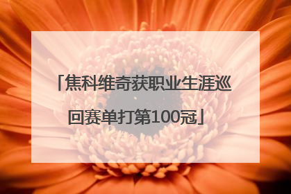 焦科维奇获职业生涯巡回赛单打第100冠