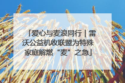 爱心与麦浪同行｜雷沃公益机收联盟为特殊家庭解燃“麦”之急