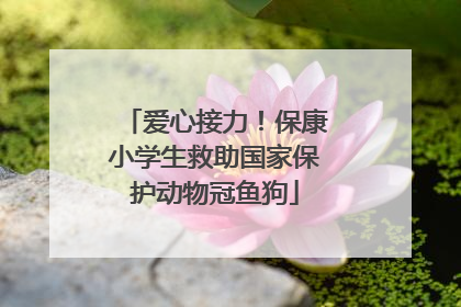 爱心接力！保康小学生救助国家保护动物冠鱼狗