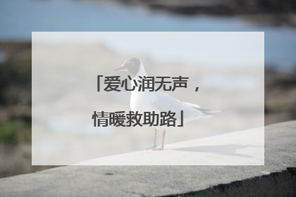 爱心润无声，情暖救助路
