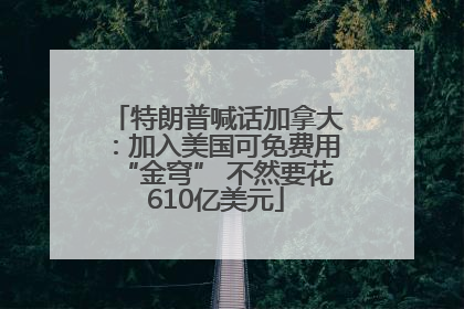 特朗普喊话加拿大：加入美国可免费用“金穹” 不然要花610亿美元