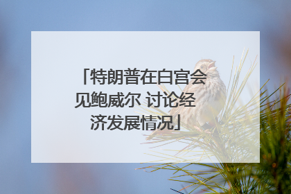特朗普在白宫会见鲍威尔 讨论经济发展情况