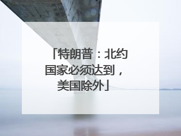 特朗普：北约国家必须达到，美国除外