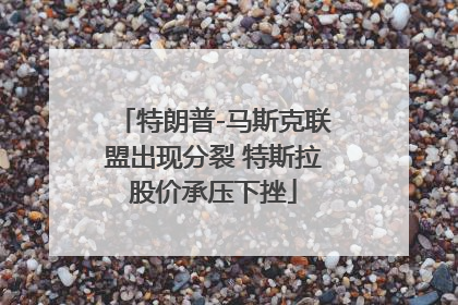 特朗普-马斯克联盟出现分裂 特斯拉股价承压下挫