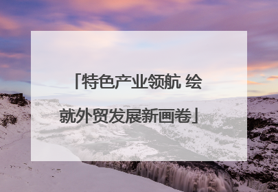 特色产业领航 绘就外贸发展新画卷