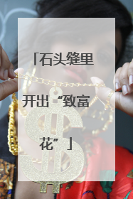石头缝里开出“致富花”