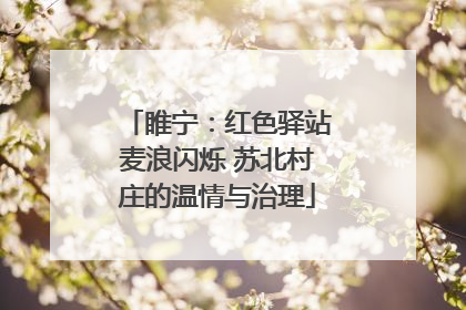 睢宁：红色驿站麦浪闪烁 苏北村庄的温情与治理