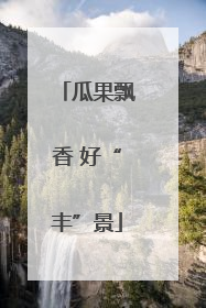 瓜果飘香 好“丰”景