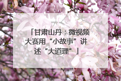 甘肃山丹：微视频大赛用“小故事”讲述“大道理”