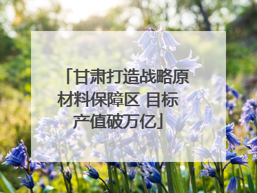 甘肃打造战略原材料保障区 目标产值破万亿