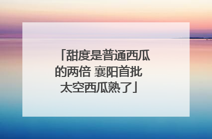 甜度是普通西瓜的两倍 襄阳首批太空西瓜熟了