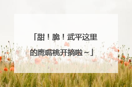 甜！脆！武平这里的鹰嘴桃开摘啦～