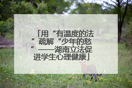 用“有温度的法”疏解“少年的愁”——湖南立法促进学生心理健康