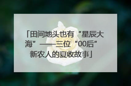 田间地头也有“星辰大海”——三位“00后”新农人的夏收故事