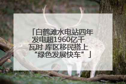 白鹤滩水电站四年发电超1960亿千瓦时 库区移民搭上“绿色发展快车”