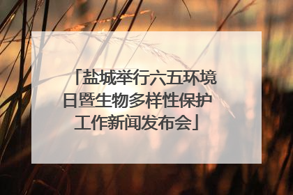盐城举行六五环境日暨生物多样性保护工作新闻发布会