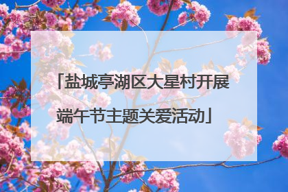 盐城亭湖区大星村开展端午节主题关爱活动