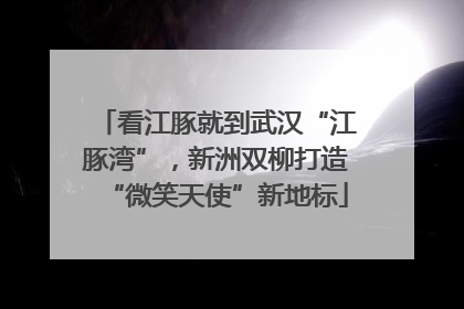 看江豚就到武汉“江豚湾”，新洲双柳打造“微笑天使”新地标