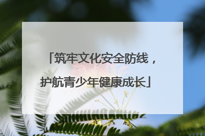 筑牢文化安全防线，护航青少年健康成长