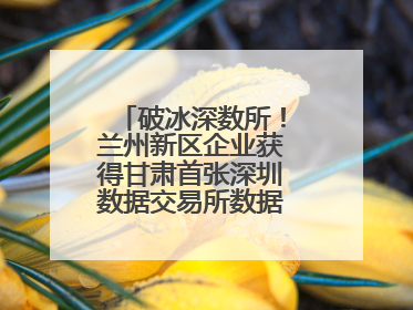 破冰深数所！兰州新区企业获得甘肃首张深圳数据交易所数据产权登记证书