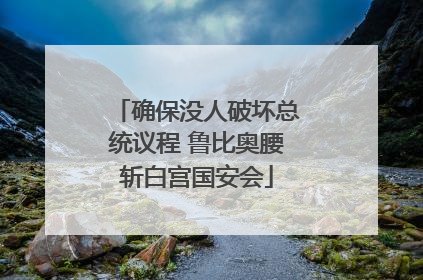 确保没人破坏总统议程 鲁比奥腰斩白宫国安会