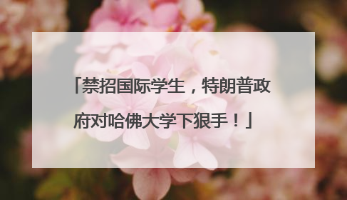 禁招国际学生，特朗普政府对哈佛大学下狠手！