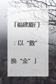 福建厦门：以“数”换“金”