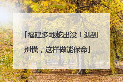 福建多地蛇出没！遇到别慌，这样做能保命