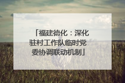 福建德化：深化驻村工作队临时党委协调联动机制