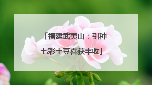 福建武夷山：引种七彩土豆喜获丰收