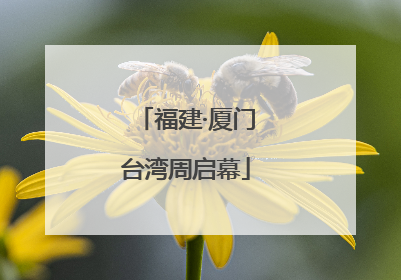 福建·厦门台湾周启幕