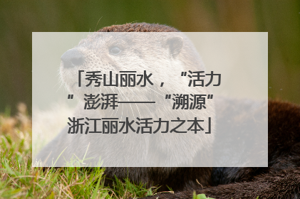 秀山丽水，“活力”澎湃——“溯源”浙江丽水活力之本