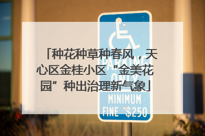 种花种草种春风，天心区金桂小区“金美花园”种出治理新气象