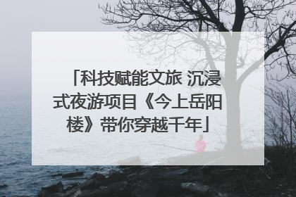 科技赋能文旅 沉浸式夜游项目《今上岳阳楼》带你穿越千年