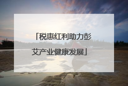 税惠红利助力彭艾产业健康发展