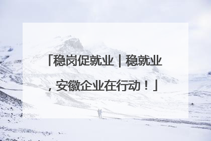 稳岗促就业｜稳就业，安徽企业在行动！
