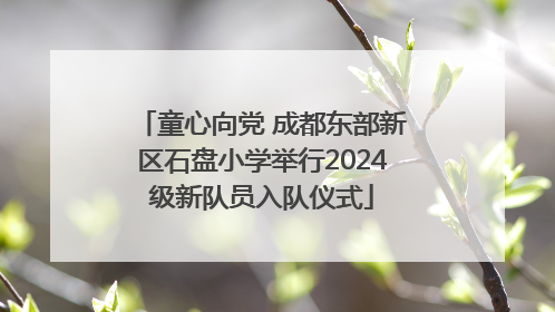 童心向党 成都东部新区石盘小学举行2024级新队员入队仪式