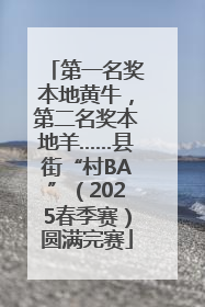第一名奖本地黄牛，第二名奖本地羊……县街“村BA”（2025春季赛）圆满完赛