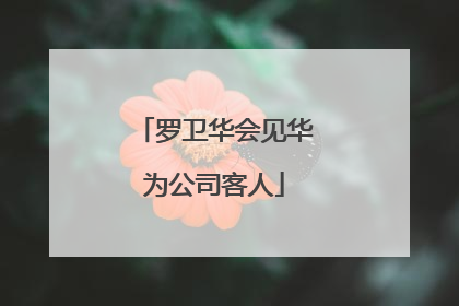罗卫华会见华为公司客人