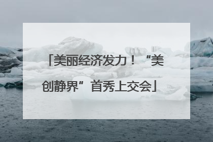 美丽经济发力！“美创静界”首秀上交会