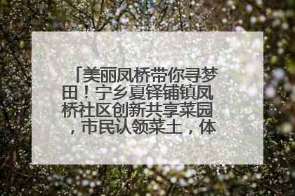 美丽凤桥带你寻梦田！宁乡夏铎铺镇凤桥社区创新共享菜园，市民认领菜土，体验耕种收获乐趣