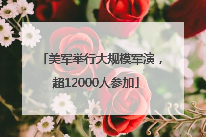 美军举行大规模军演，超12000人参加