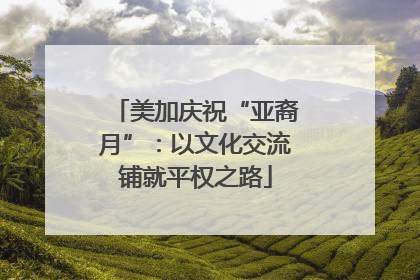 美加庆祝“亚裔月”：以文化交流铺就平权之路