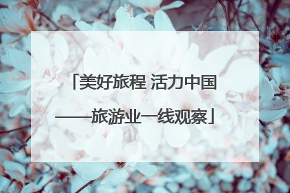 美好旅程 活力中国——旅游业一线观察