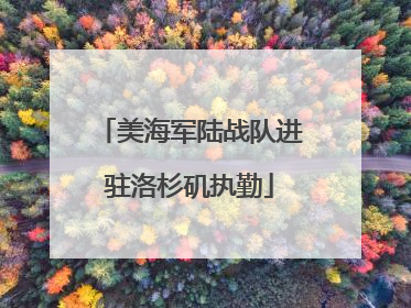 美海军陆战队进驻洛杉矶执勤