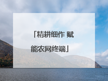 精耕细作 赋能农网终端