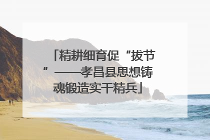 精耕细育促“拔节”——孝昌县思想铸魂锻造实干精兵